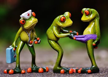 accidente sexuale -sfatulparintilor.ro -pixabay_com- frogs-1672890_1920