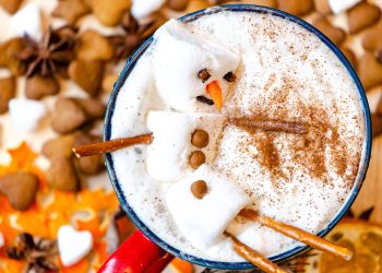 lapte de pasare - sfatulparinitlor.ro - pixabay_com - snowman-3898359_1920