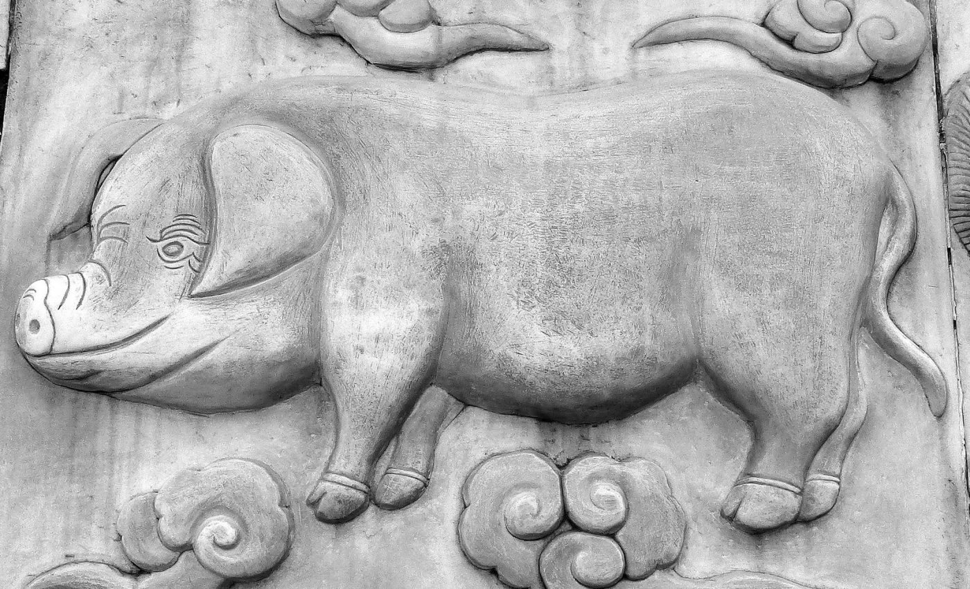 porc zodiac chinezesc - sfatulparintilor.ro - pixabay_com - hai-279651_1920