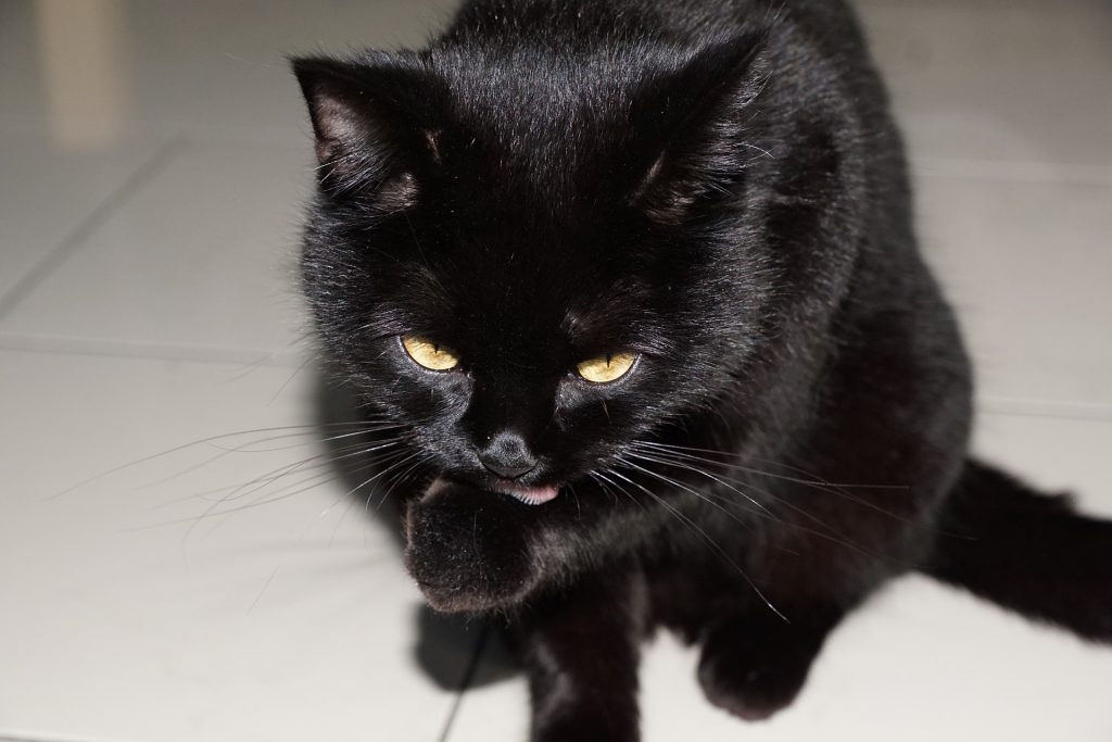 Top superstitii de An Nou