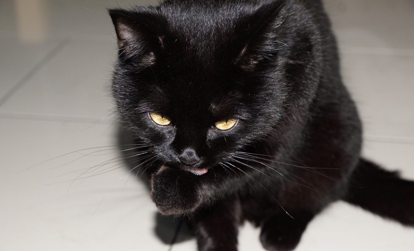 Top superstitii de An Nou