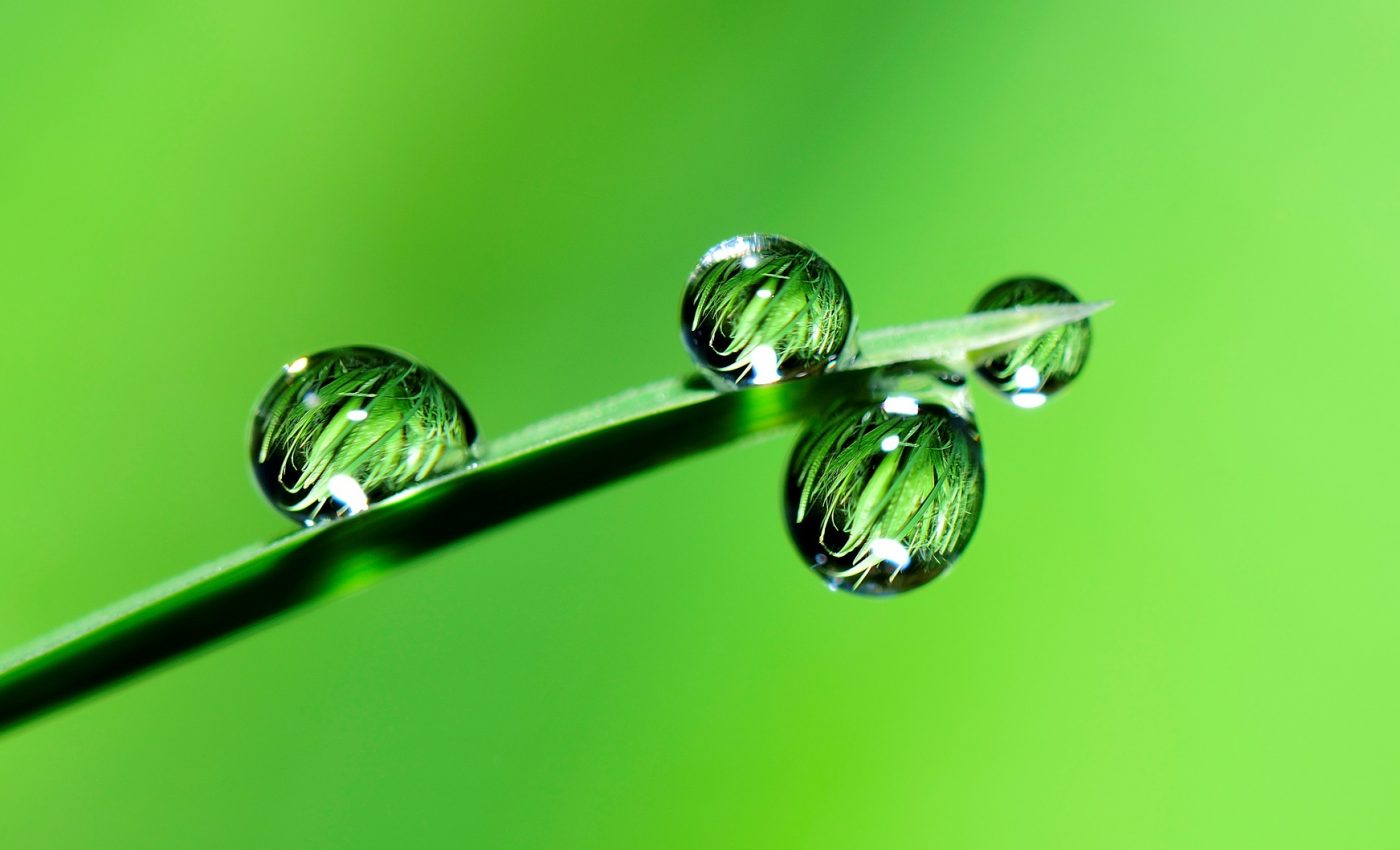 feng shui plante de apartament - sfatulparintilor.ro - pixabay_com - water-2986837_1920