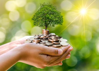 ZODII atrag ABUNDENȚA FINANCIARĂ